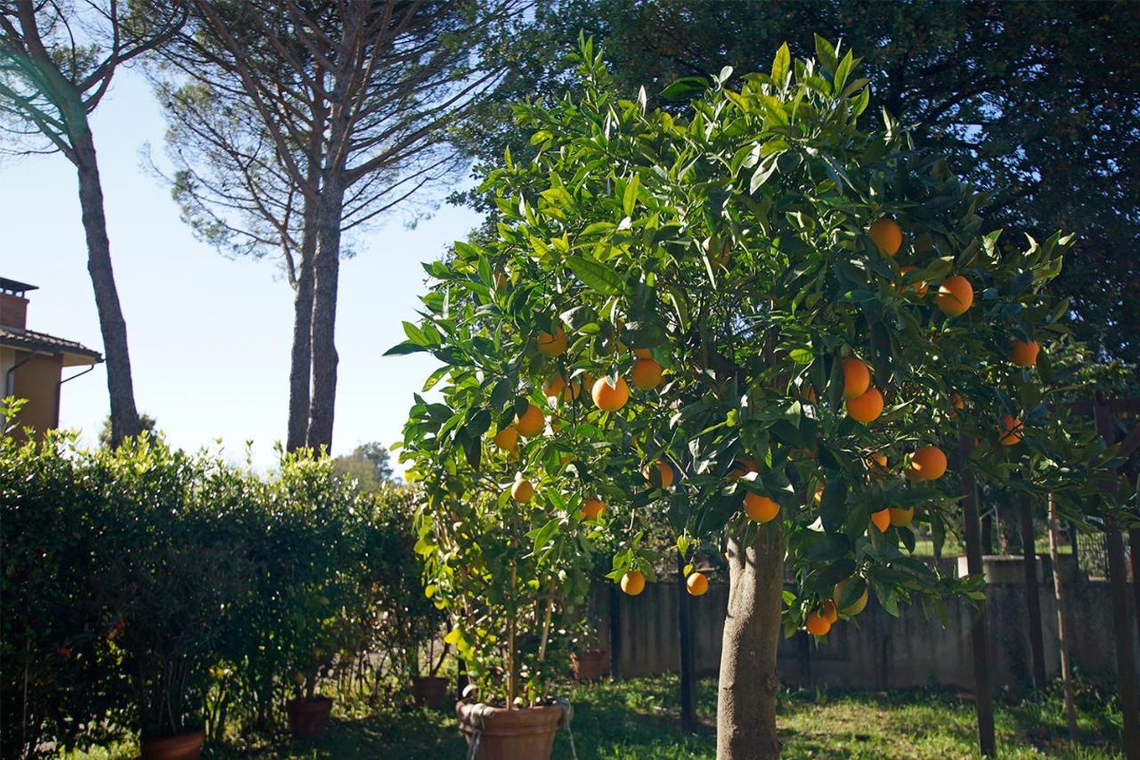 Bed & Breakfast Bel Giorgio Orentano ภายนอก รูปภาพ